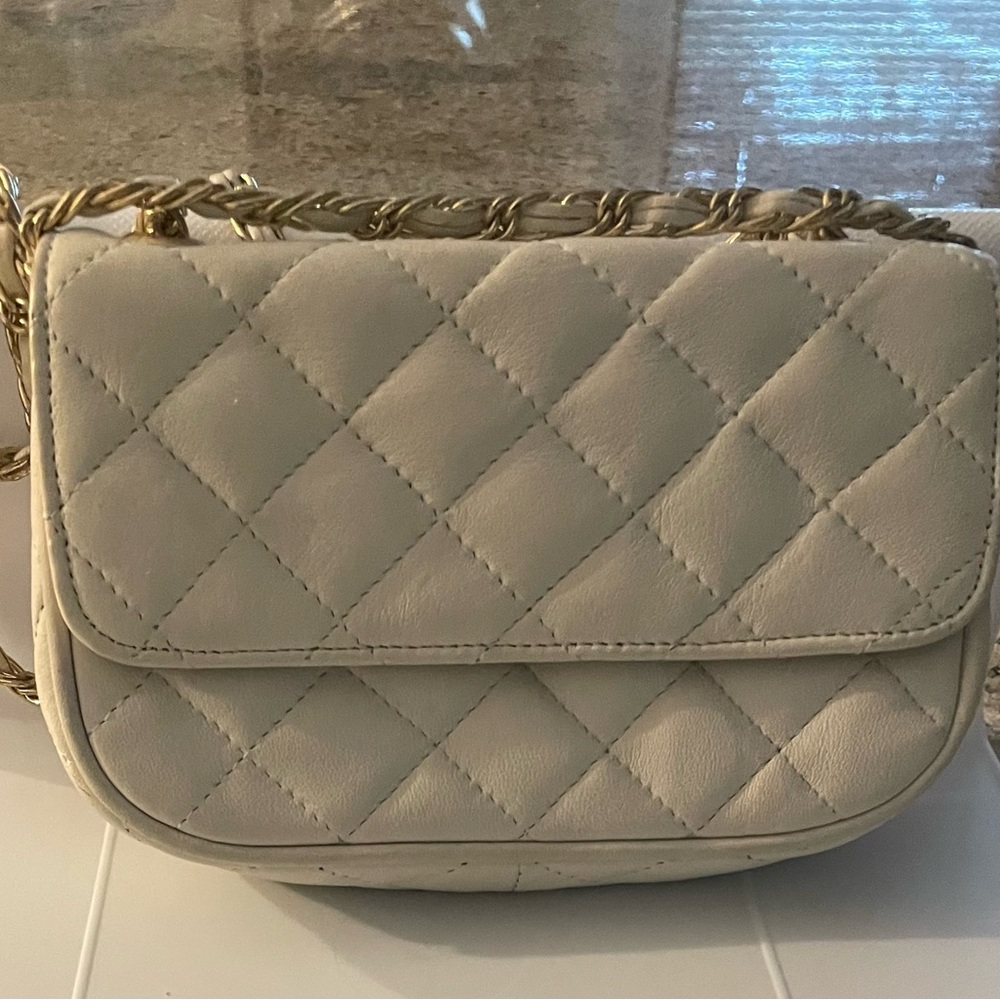 Mini Rectangular Flap Bag Cream/Off White Flap Bag - image 1